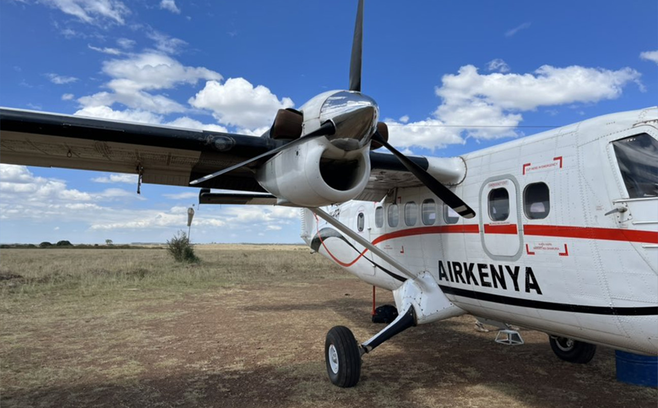 Flying Safaris