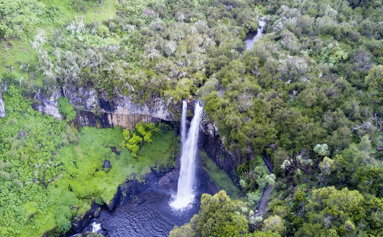 Aberdares National Park